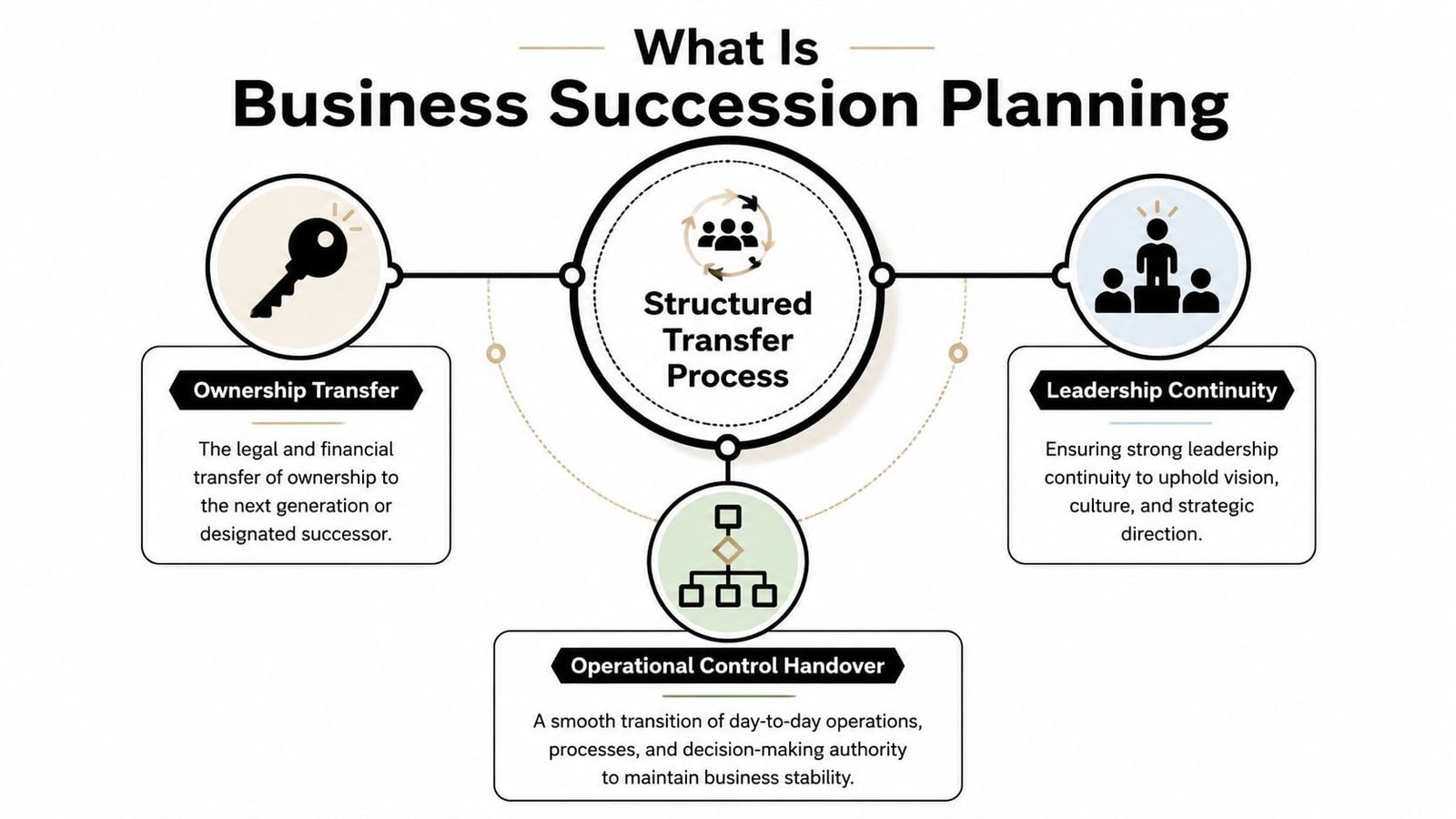 An infographic explaining business succession planning through ownership transfer, leadership continuity, and operational control handover processes.