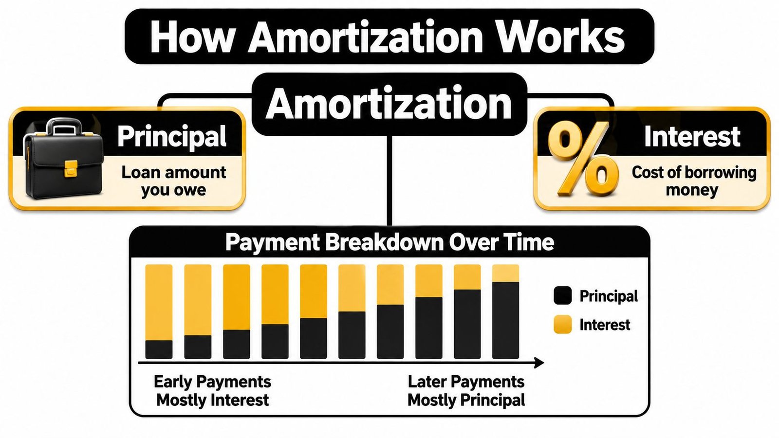 An infographic diagram explaining how loan amortization works by breaking down monthly payments into principal and interest.